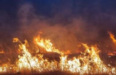 Активни пожари во „Јасен“ и во Октишка краста во Струга