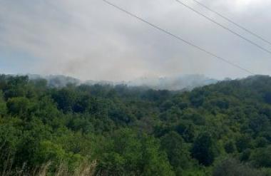 Пожарот помеѓу Богомила и Согле е локализиран